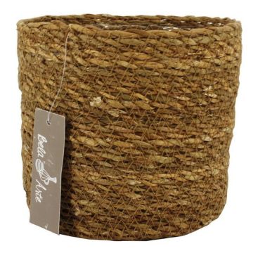 Blomkorg AMPARO, sjögräs, beige, 14cm, Ø16,5cm Blomkorg AMPARO, sjögräs, beige, 14cm, Ø16,5cm