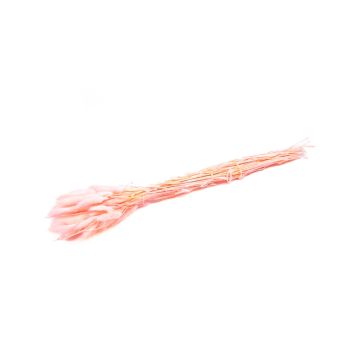 Torkat Lagurus-gräs BORKA, rosa, 55-75cm, Ø12cm