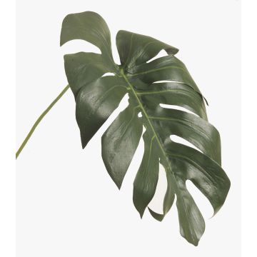 Konstblad Philodendron Monstera Deliciosa UMBERTO, 55cm Konstblad Philodendron Monstera Deliciosa UMBERTO, 55cm