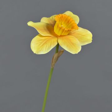 Dekorationsblomma narciss FEIHAO, orange-gul, 40cm, Ø10cm