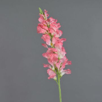 Konstblomma lejonmun FOLET, rosa-vit, 95cm, Ø12cm Konstblomma lejonmun FOLET, rosa-vit, 95cm, Ø12cm
