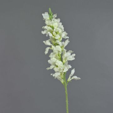 Konstblomma lejonmun FOLET, vit, 95cm, Ø12cm Konstblomma lejonmun FOLET, vit, 95cm, Ø12cm