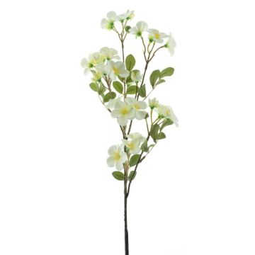 Konstgjord äppelblomskvist WENIA, krämfärgad, 70cm, Ø2-4cm Konstgjord äppelblomskvist WENIA, krämfärgad, 70cm, Ø2-4cm