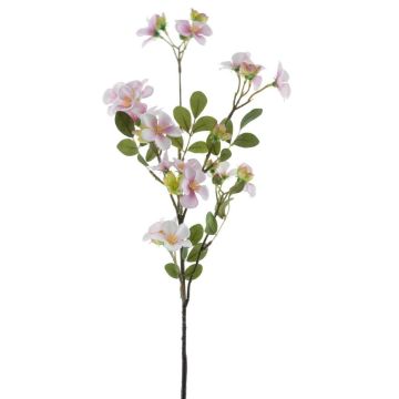 Konstgjord äppelblomskvist WENIA, rosa-vit, 70cm, Ø2-4cm Konstgjord äppelblomskvist WENIA, rosa-vit, 70cm, Ø2-4cm