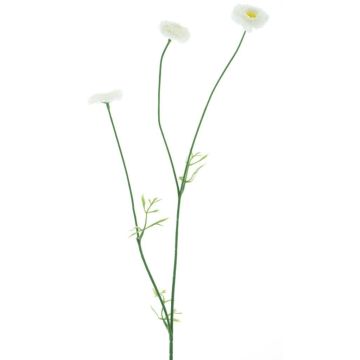 Dekorativ blomkvist Bellis NIKSA, krämfärgad, 55cm Dekorativ blomkvist Bellis NIKSA, krämfärgad, 55cm