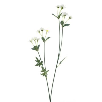 Dekorativ kvist med prästkragar KASANI, krämfärgad, 60cm Dekorativ kvist med prästkragar KASANI, krämfärgad, 60cm