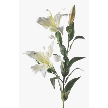 Textilblomma lilja KIRSTEN, vit, 85cm, Ø15cm Textilblomma lilja KIRSTEN, vit, 85cm, Ø15cm