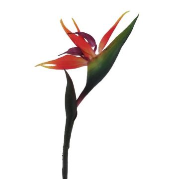Konstgjord blomma Strelitzia LAMONTI, orange-violett, 85cm