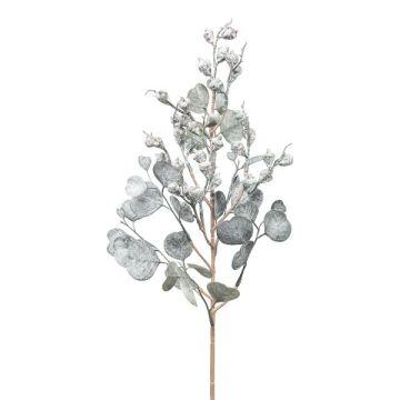 Konstgjord eukalyptusgren GRIFLO med frukter, frusen, vitgrå, 55cm Konstgjord eukalyptusgren GRIFLO med frukter, frusen, vitgrå, 55cm