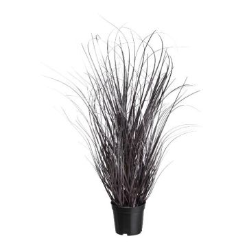 Dekorativt gräs, starr TAVRE, lila-silver, 75cm