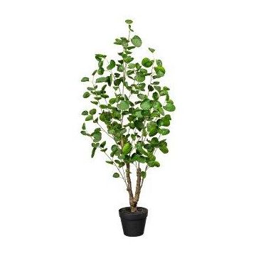Konstväxt Fiederaralie MULVI, dekorativ kruka, konststam, 110cm Konstväxt Fiederaralie MULVI, dekorativ kruka, konststam, 110cm