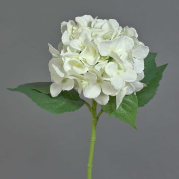 Konstgjord hortensia GABRIELLA, krämfärgad, 50cm, Ø17cm Konstgjord hortensia GABRIELLA, krämfärgad, 50cm, Ø17cm