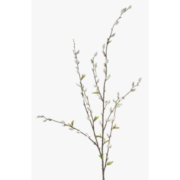 Konstgjord gren av kätzchenweide WALDEMAR med blommor, brun, 120cm Konstgjord gren av kätzchenweide WALDEMAR med blommor, brun, 120cm