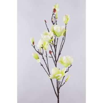 Konstgjord magnoliagren YONA, krämgrön, 130cm, Ø5-15cm Konstgjord magnoliagren YONA, krämgrön, 130cm, Ø5-15cm