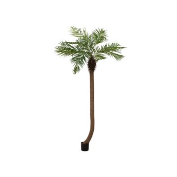 Konstgjord fenixpalm MANJANA, 240cm