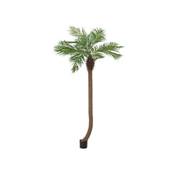 Konstgjord fenixpalm MANJANA, 240cm Konstgjord fenixpalm MANJANA, 240cm
