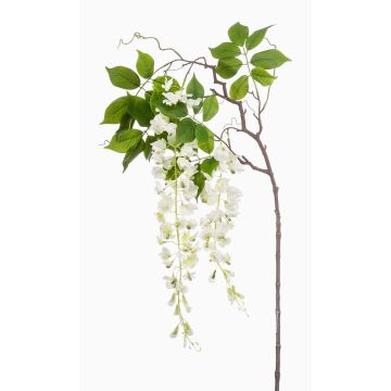 Stor konstblomma, blåregn, gren NISSRINE med blommor, vit, 145cm