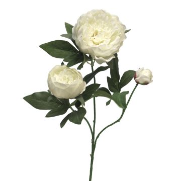 Konstgjord gren med pion MEIRU, krämfärgad, 70cm, Ø9-12cm