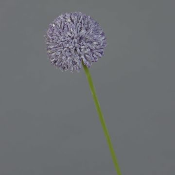 Konstgjord blomma Allium BAILIN, lila, 45cm, Ø6,5cm