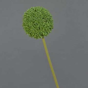 Konstgjord blomma Allium BAILIN, grön, 65cm, Ø10cm Konstgjord blomma Allium BAILIN, grön, 65cm, Ø10cm