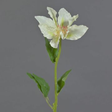 Konstgjord blomma Clematis JINJIN, krämfärgad, 50cm, Ø15cm Konstgjord blomma Clematis JINJIN, krämfärgad, 50cm, Ø15cm