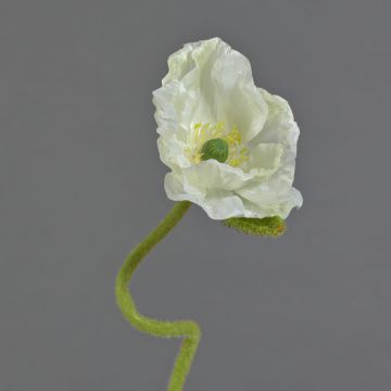 Konstblomma vallmo ANKANG, krämfärgad, 70cm, Ø9,5cm Konstblomma vallmo ANKANG, krämfärgad, 70cm, Ø9,5cm