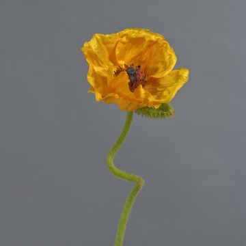 Konstgjord blomma vallmo ANKANG, orange-gul, 70cm, Ø9,5cm Konstgjord blomma vallmo ANKANG, orange-gul, 70cm, Ø9,5cm