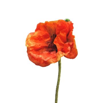 Konstblomma vallmo ANKANG, orange, 70cm, Ø9,5cm Konstblomma vallmo ANKANG, orange, 70cm, Ø9,5cm