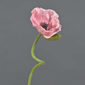 Konstblomma vallmo ANKANG, rosa, 70cm, Ø9,5cm Konstblomma vallmo ANKANG, rosa, 70cm, Ø9,5cm