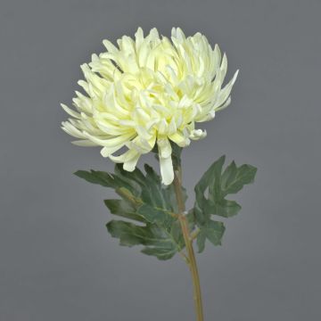 Konstblomma krysantemum LINGYUN, krämfärgad, 65cm, Ø16cm