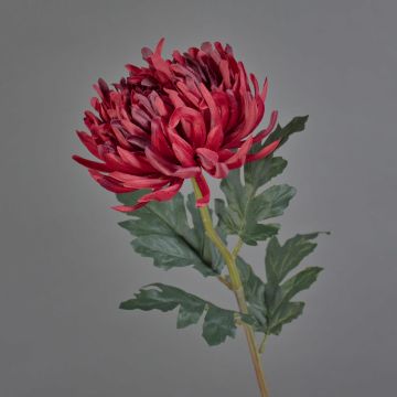 Konstblomma krysantemum LINGYUN, mörkröd, 65cm, Ø16cm