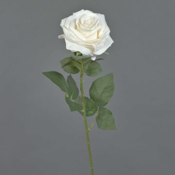Konstgjord ros KAILIN, krämfärgad, 65cm, Ø9cm Konstgjord ros KAILIN, krämfärgad, 65cm, Ø9cm