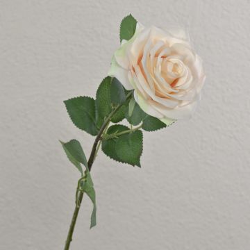 Konstros KAILIN, krämrosa, 65cm, Ø9cm Konstros KAILIN, krämrosa, 65cm, Ø9cm