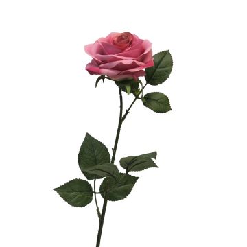 Konstros KAILIN, cerise, 65cm, Ø9cm Konstros KAILIN, cerise, 65cm, Ø9cm