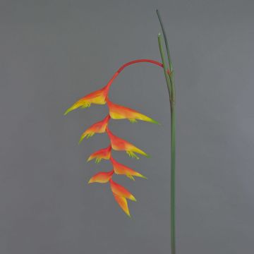 Dekorationsblomma Heliconia MEIHUA, orange-gul-grön, 95cm, Ø30cm Dekorationsblomma Heliconia MEIHUA, orange-gul-grön, 95cm, Ø30cm