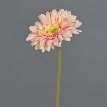 Konstgjord gerbera QIUDONG, persikorosa, 50cm, Ø12cm Konstgjord gerbera QIUDONG, persikorosa, 50cm, Ø12cm