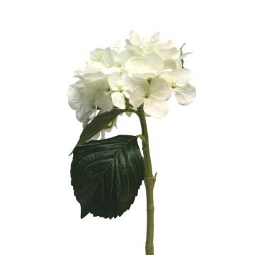 Konstgjord hortensia XINCHENG, vit, 50cm, Ø15cm Konstgjord hortensia XINCHENG, vit, 50cm, Ø15cm