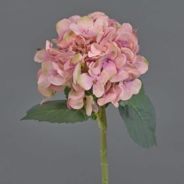 Konstgjord hortensia XINCHENG, rosa-grön, 50cm, Ø15cm Konstgjord hortensia XINCHENG, rosa-grön, 50cm, Ø15cm