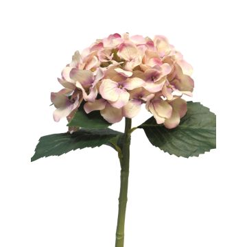 Konstgjord hortensia XINCHENG, antikrosa-krämfärgad, 50cm, Ø15cm Konstgjord hortensia XINCHENG, antikrosa-krämfärgad, 50cm, Ø15cm