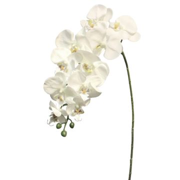 Dekorativ gren med Phalaenopsis-orkidé JUANRU, vit, 100cm Dekorativ gren med Phalaenopsis-orkidé JUANRU, vit, 100cm