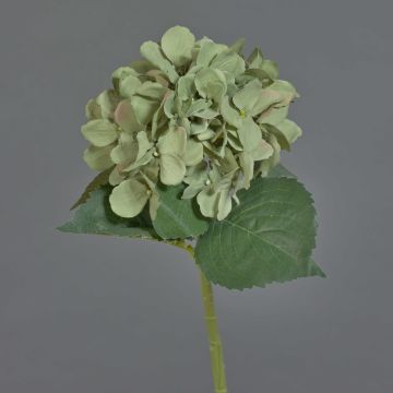 Konstgjord blomma, hortensia FUXIANG, grön-rosa, 50cm, Ø16cm Konstgjord blomma, hortensia FUXIANG, grön-rosa, 50cm, Ø16cm