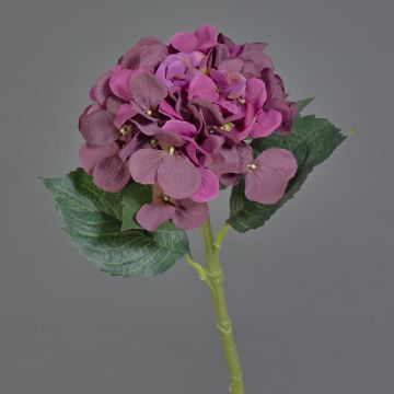 Konstgjord hortensia FUXIANG, violett, 50cm, Ø16cm Konstgjord hortensia FUXIANG, violett, 50cm, Ø16cm