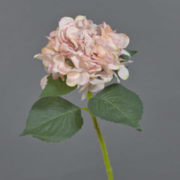 Konstgjord hortensia FUXIANG, rosa-krämfärgad, 50cm, Ø16cm Konstgjord hortensia FUXIANG, rosa-krämfärgad, 50cm, Ø16cm