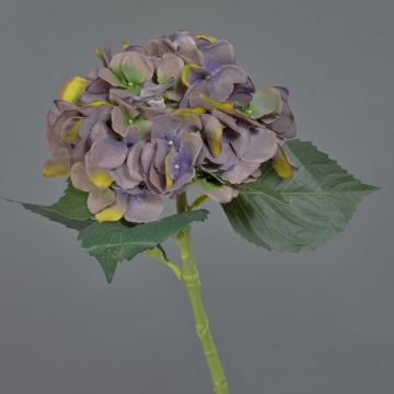 Konstgjord hortensia FUXIANG, mörklil-gul-grön, 50cm, Ø16cm Konstgjord hortensia FUXIANG, mörklil-gul-grön, 50cm, Ø16cm