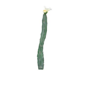 Dekorativ pelarkaktus ANRAN med blommor, stödpinne, krämfärgad, 35cm Dekorativ pelarkaktus ANRAN med blommor, stödpinne, krämfärgad, 35cm