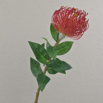Konstblomma nålkudde Protea XIFANG, röd, 75cm, Ø10cm Konstblomma nålkudde Protea XIFANG, röd, 75cm, Ø10cm