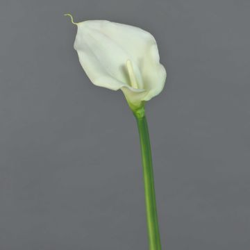 Konstgjord blomma Zantedeschia ZHILONG, vit, 55cm, 10x16cm Konstgjord blomma Zantedeschia ZHILONG, vit, 55cm, 10x16cm