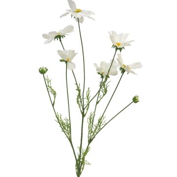 Konstgjord blomstergren, kosmos BAILING, krämfärgad, 90cm Konstgjord blomstergren, kosmos BAILING, krämfärgad, 90cm