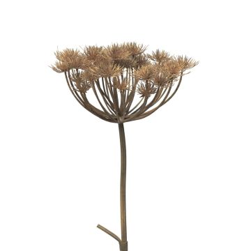 Konstgjord blomma björnklöver MIANYAN, brun-grå, 100cm Konstgjord blomma björnklöver MIANYAN, brun-grå, 100cm