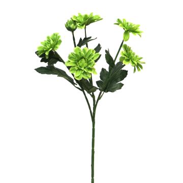 Konstgjord gren med krysantemum LONGBAO, grön, 60cm